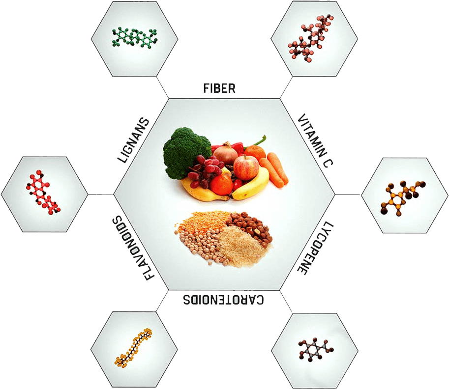 important-nutrients-the-game-changers